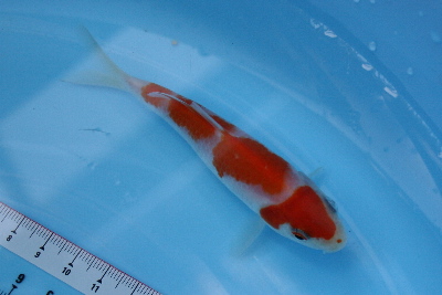 20080330 023-400.jpg